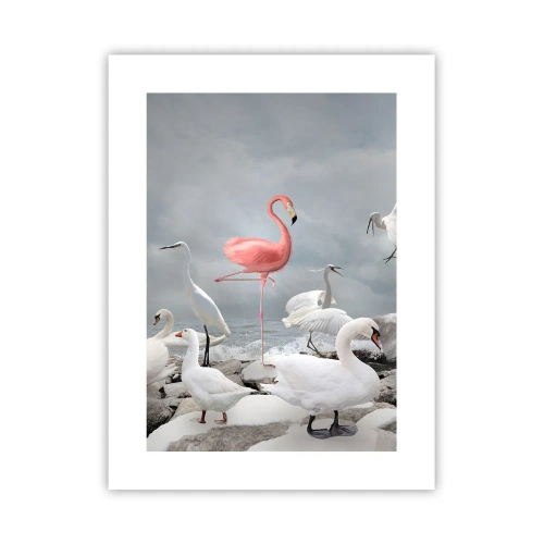 Plakat - Hvor kommer jeg fra? - 30x40 cm