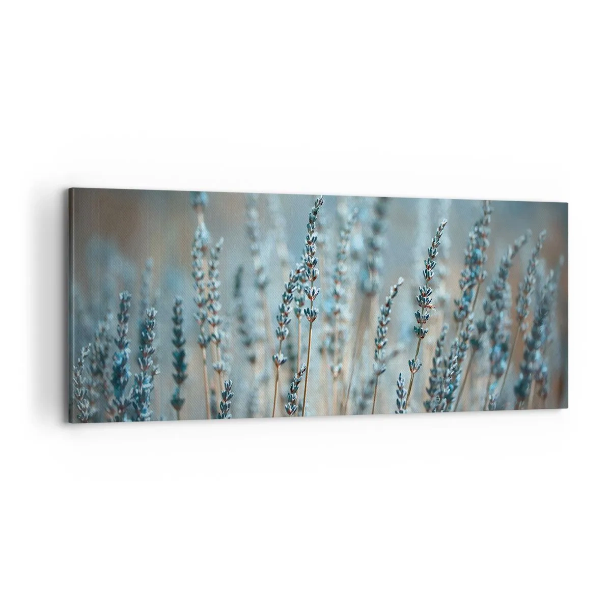 Lærredstryk - Billede på lærred - Duftende plet - 100x40 cm