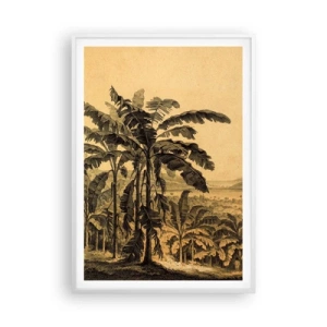 Plakat i hvid ramme - I en kolonial atmosfære - 70x100 cm