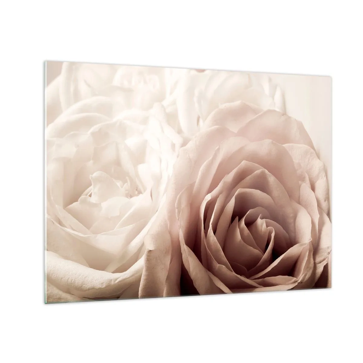 Billede på glas - Delikate lyse roser i et romantisk nærbillede - 70x50cm - I rosens hjerte - Moderne vægdekoration til stue og soveværelse ARTTOR