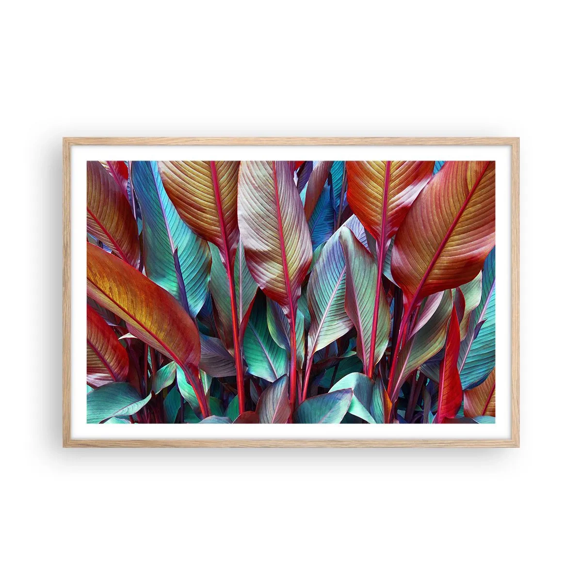 Plakat i ramme af lyst egetræ - Farverigt krat - 91x61 cm