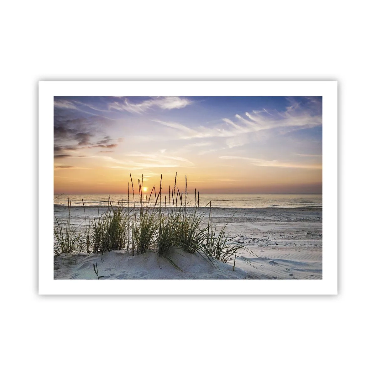 Plakat - Se, tænk, føl - 70x50 cm