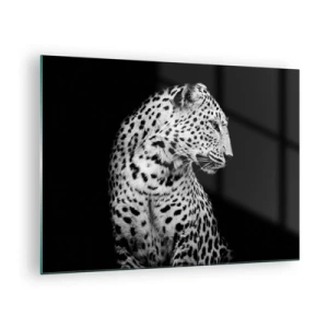 Billede på glas - En leopard i sort-hvidt lys mod et vindue - 70x50cm - Den rigtige profil er perfekt! - Moderne vægdekoration til stue og soveværelse ARTTOR