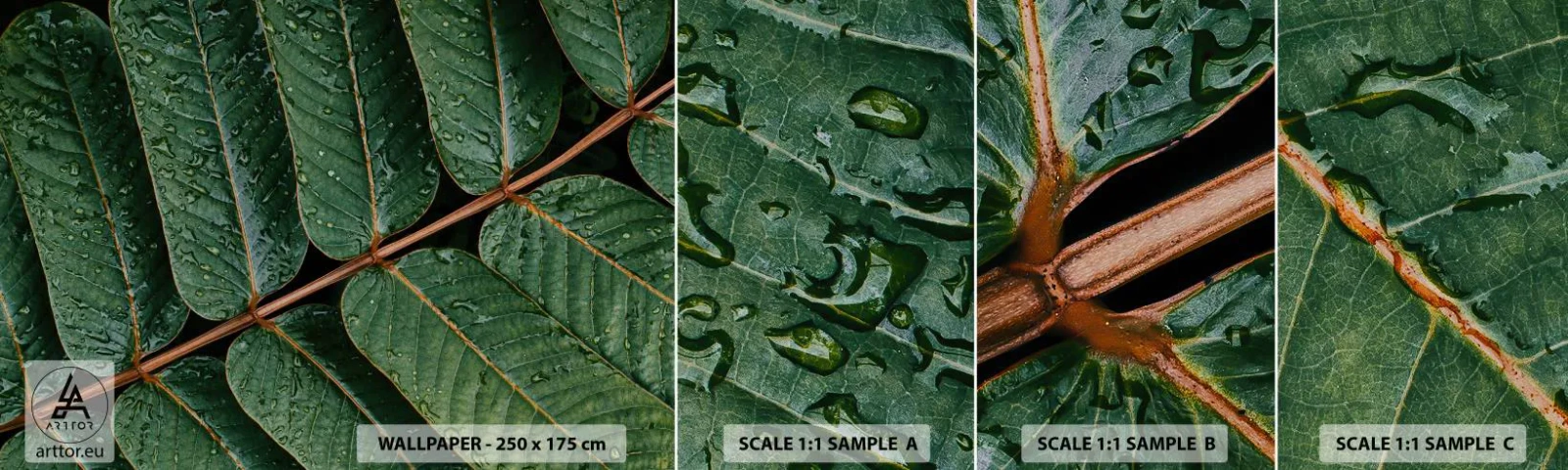 Prøve Fototapet Selvklæbende Deluxe Sticker - I en grøn rytme - Grønne blade, Tropisk plante, Stykke - 100x30 cm