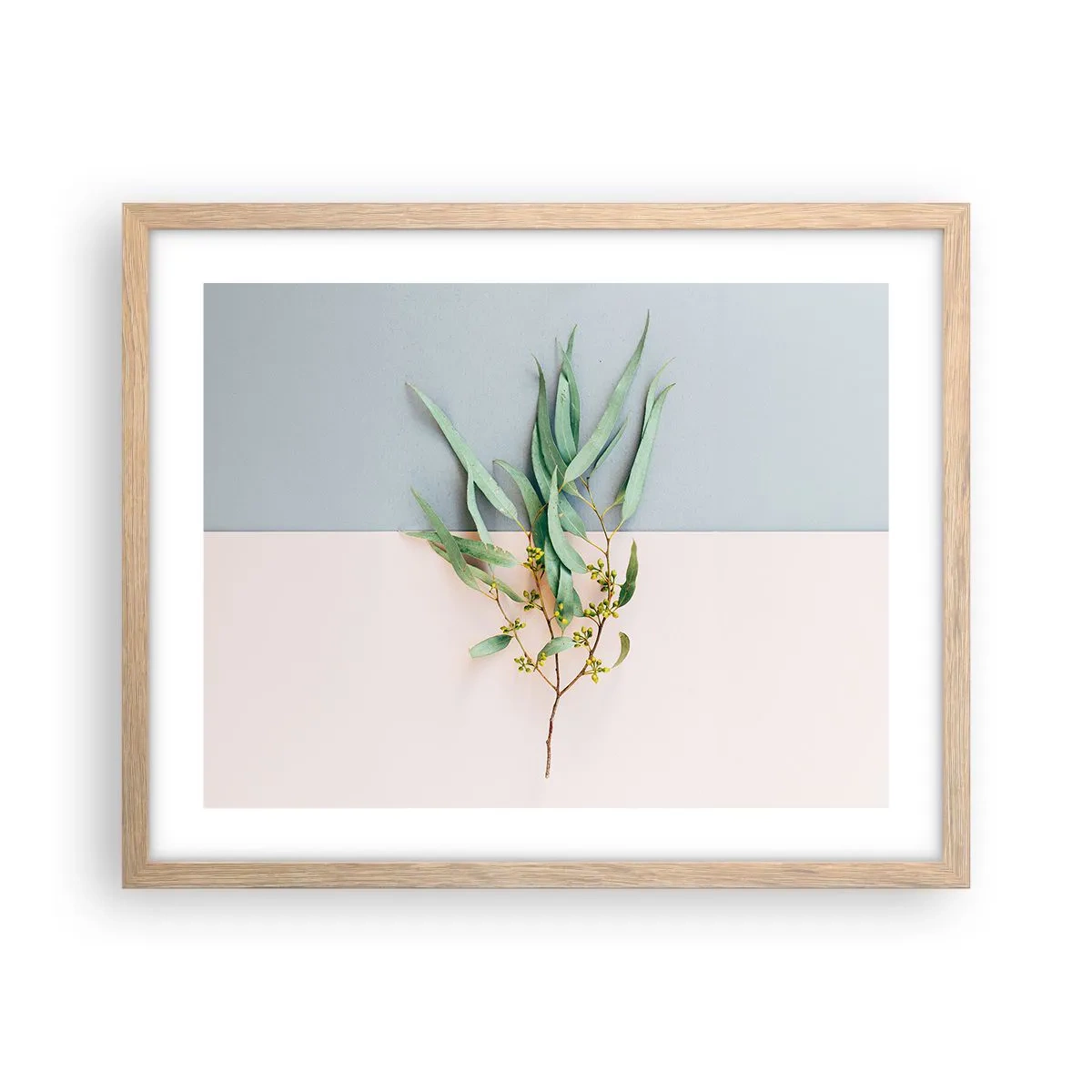 Plakat i ramme af lyst egetræ - Pastelfarvernes subtilitet - 50x40 cm