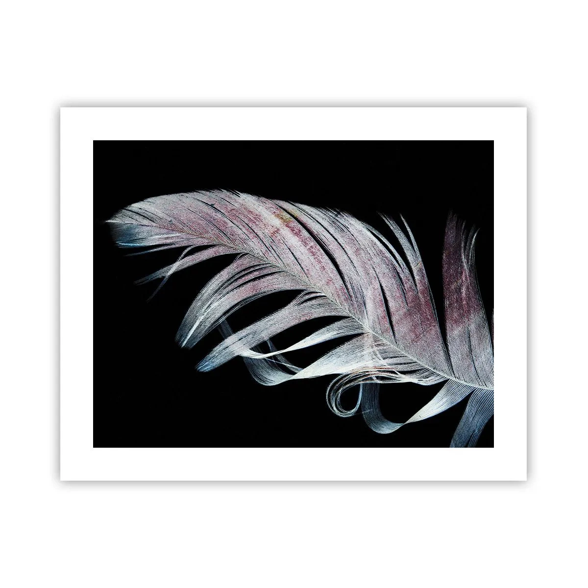 Plakat - Tænk om berøring - 50x40 cm