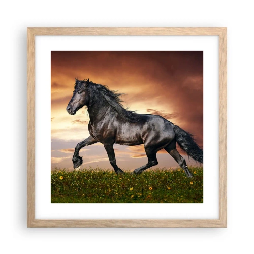 Plakat i ramme af lyst egetræ - Sort prins - 40x40 cm