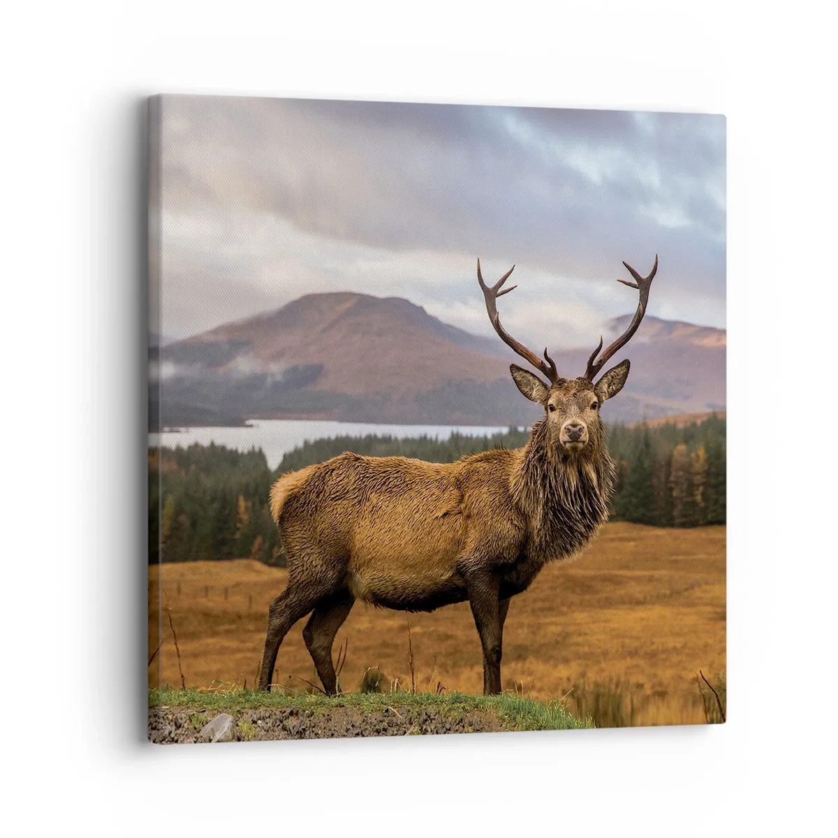 Lærredstryk - Billede på lærred - Naturens majestæt - 30x30 cm