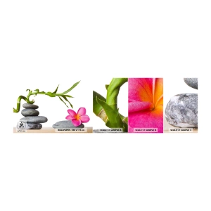 Fototapet Prøve Standard Eco - Livets og varighedens farver - Blomst, Sten, Spa - 100x30 cm