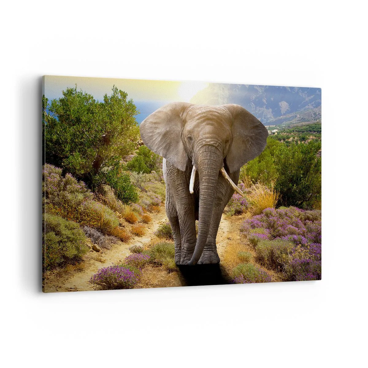 Lærredstryk - Billede på lærred - Sådan så Eden ud - 100x70 cm