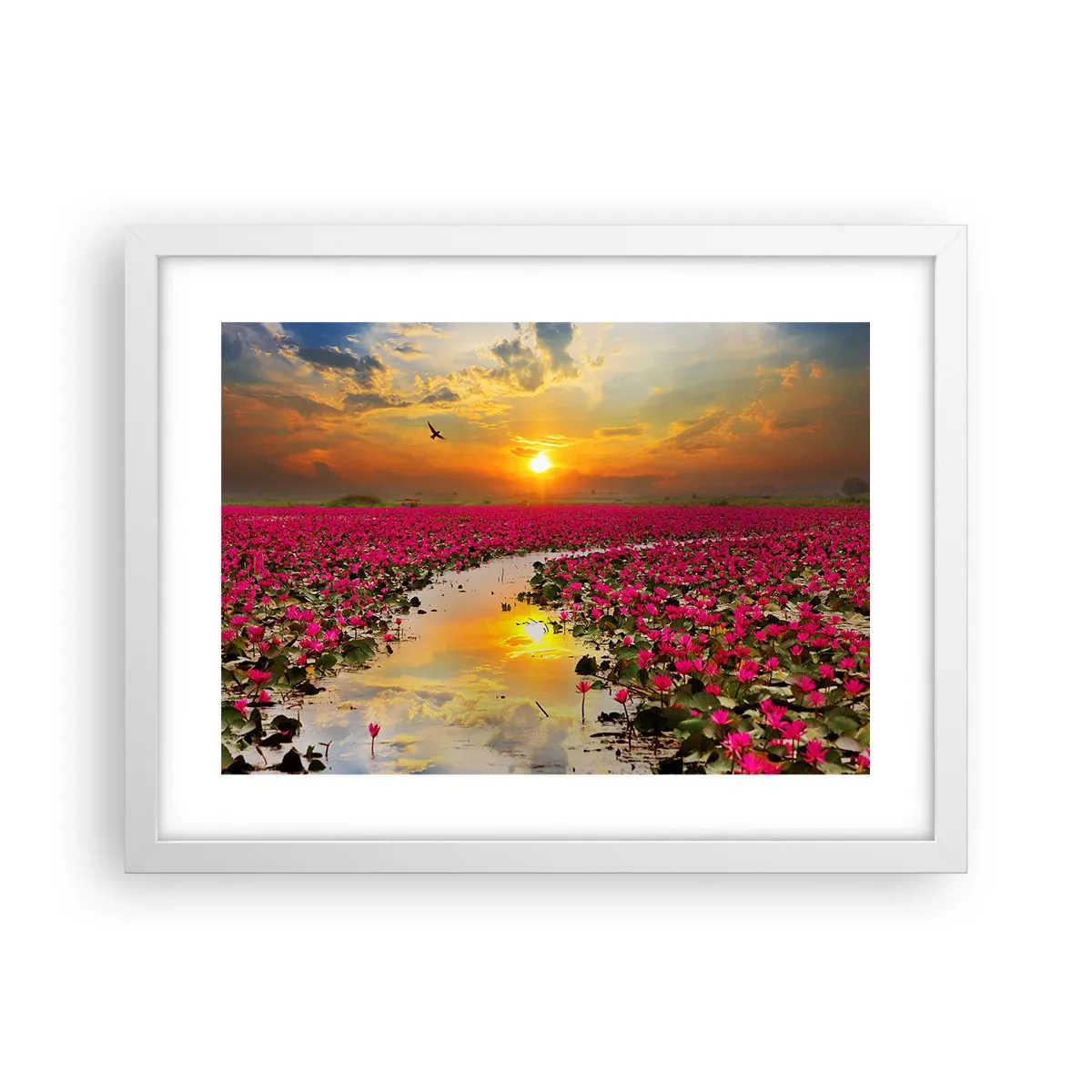 Plakat i hvid ramme - Søens hemmelige liv - 40x30 cm