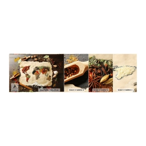 Fototapet Prøve Standard Eco - Alle verdens smage - Gastronomi, Verdenskort, Tørrede krydderier - 100x30 cm