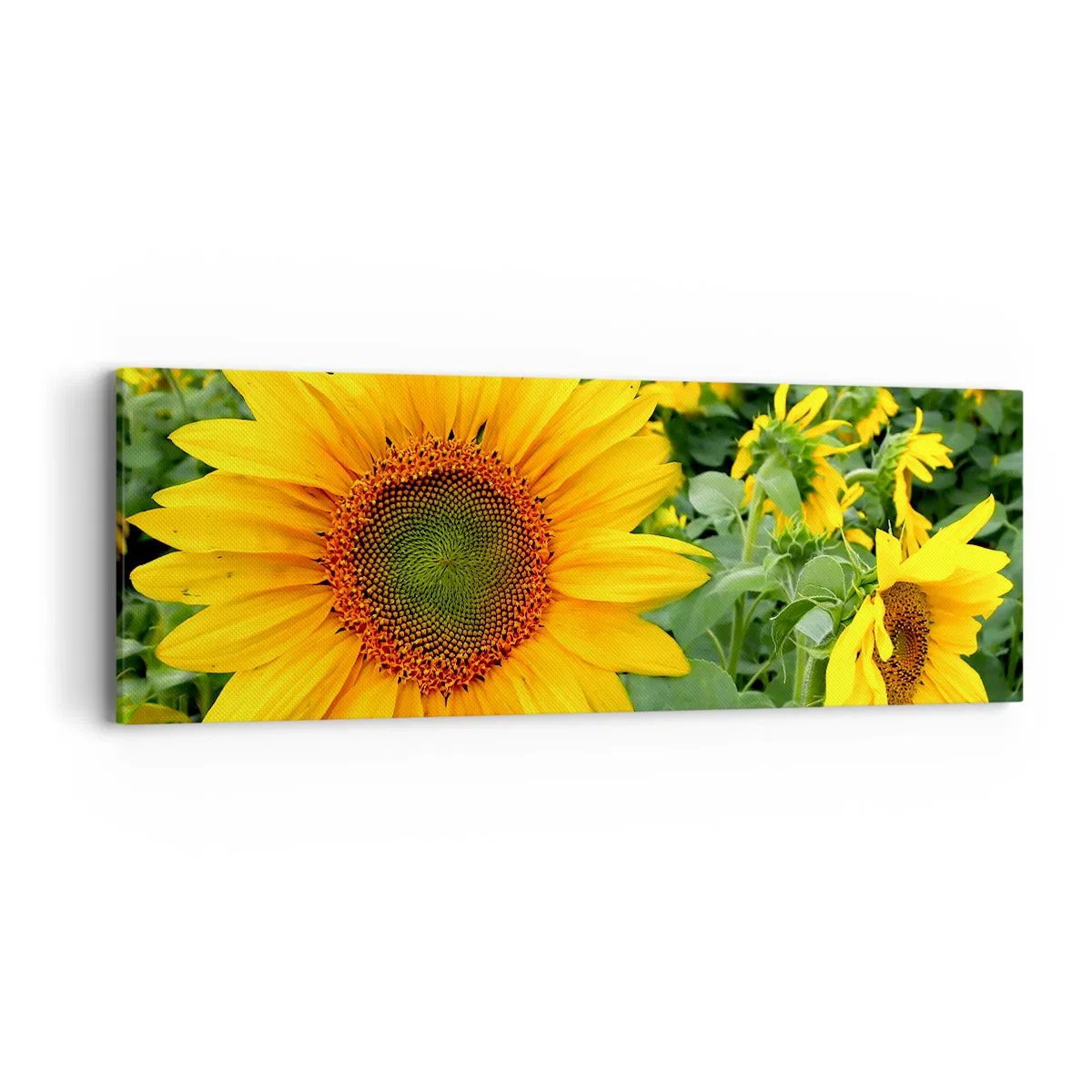 Lærredstryk - Billede på lærred - Hundredvis af sole blussede op - 90x30 cm