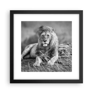 Plakat i sort ramme - Kongelig siesta - 30x30 cm
