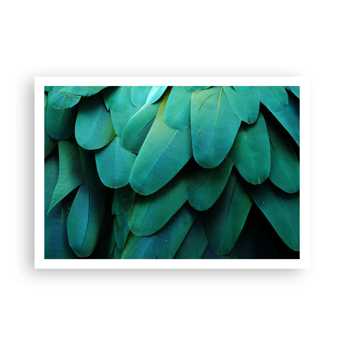 Plakat - Papegøjenaturens præcision - 100x70 cm