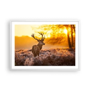 Plakat i hvid ramme - Kongen af efterårsskoven - 70x50 cm