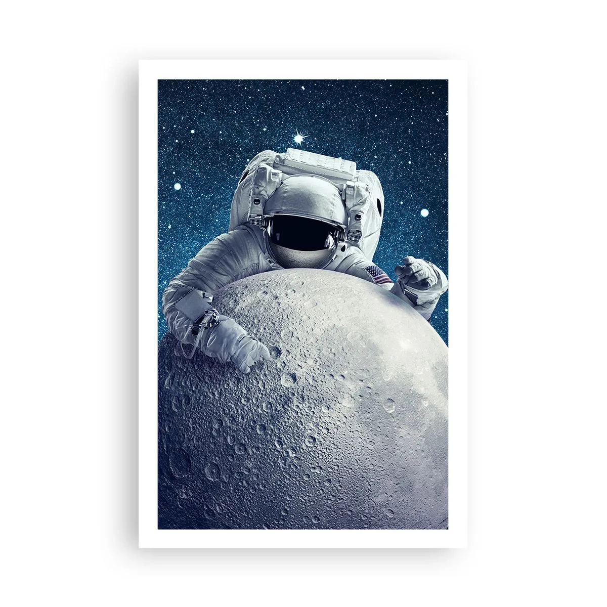 Plakat - Kosmisk spøgefugl - 61x91 cm