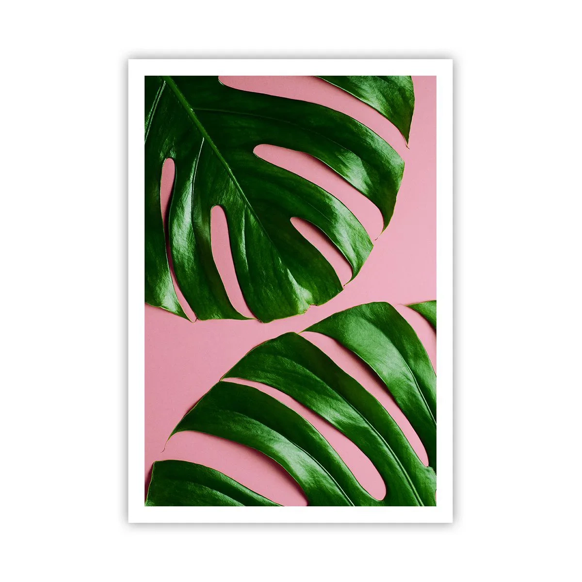 Plakat - Grønt rendez-vous - 70x100 cm
