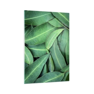 Billede på glas - Saftig og frisk - 70x100 cm