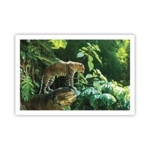 Plakat - Til jagt? - 91x61 cm