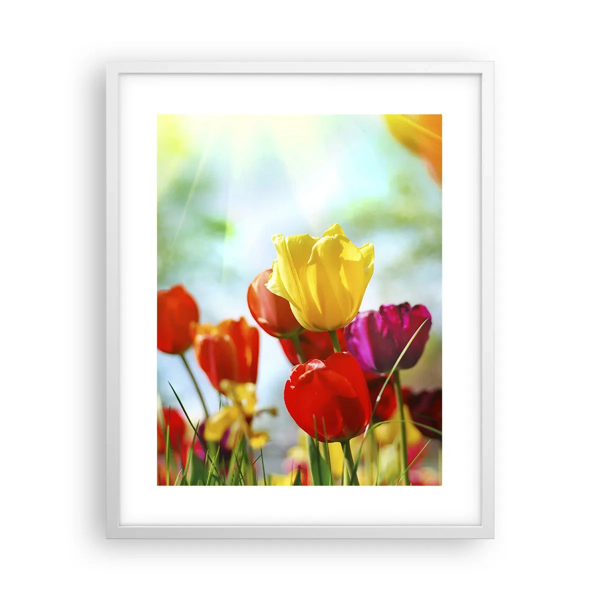 Plakat i hvid ramme - Alle solens farver - 40x50 cm