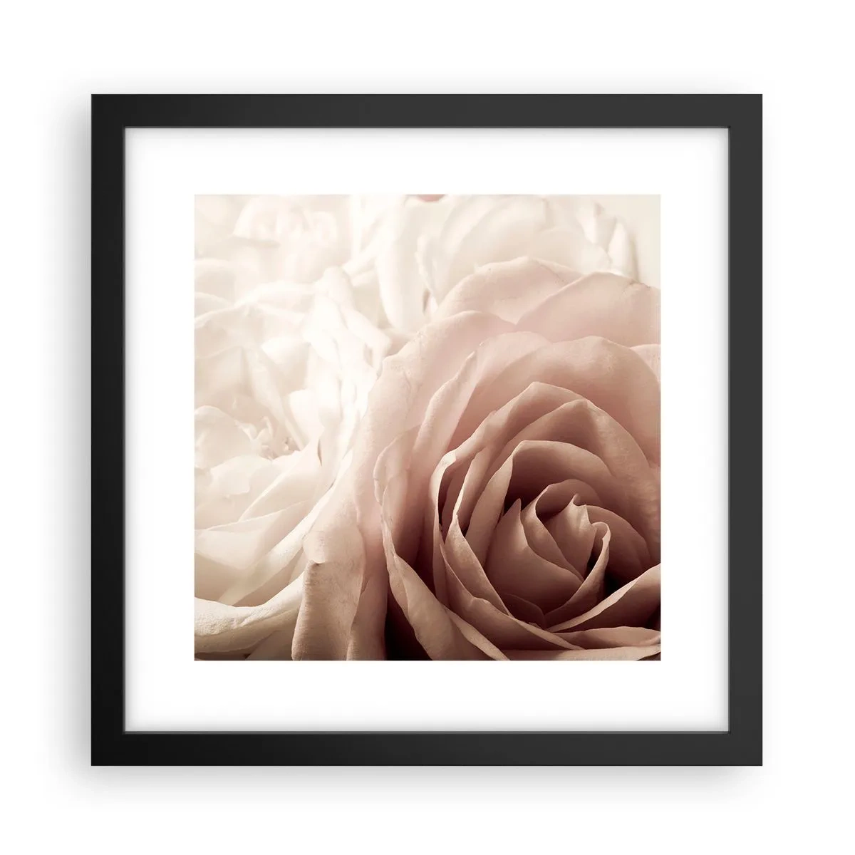 Plakat i sort ramme - I rosens hjerte - 30x30 cm