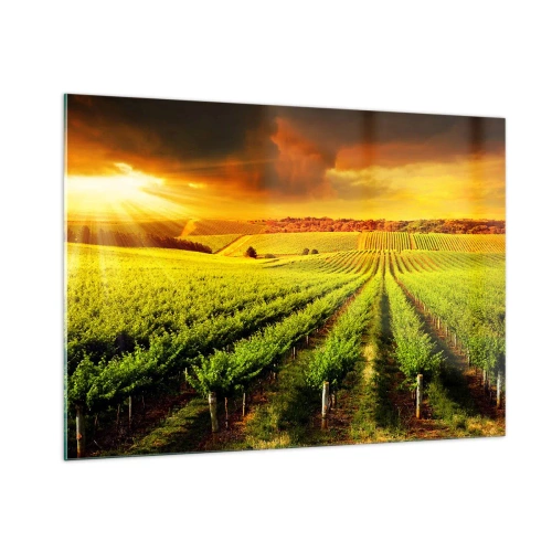 Billede på glas - Under den australske sol - 100x70 cm