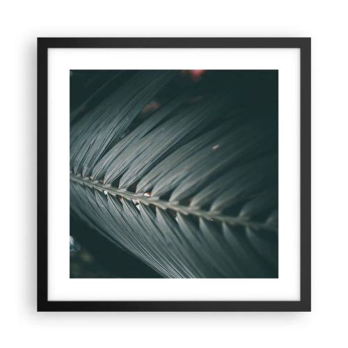 Plakat i sort ramme - Naturens præcision - 40x40 cm