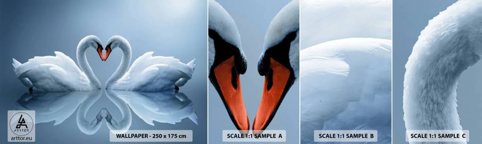 Fototapet Prøve Standard Eco - Tid til kærlighed - Svaner, Elsker, Hjerte - 100x30 cm