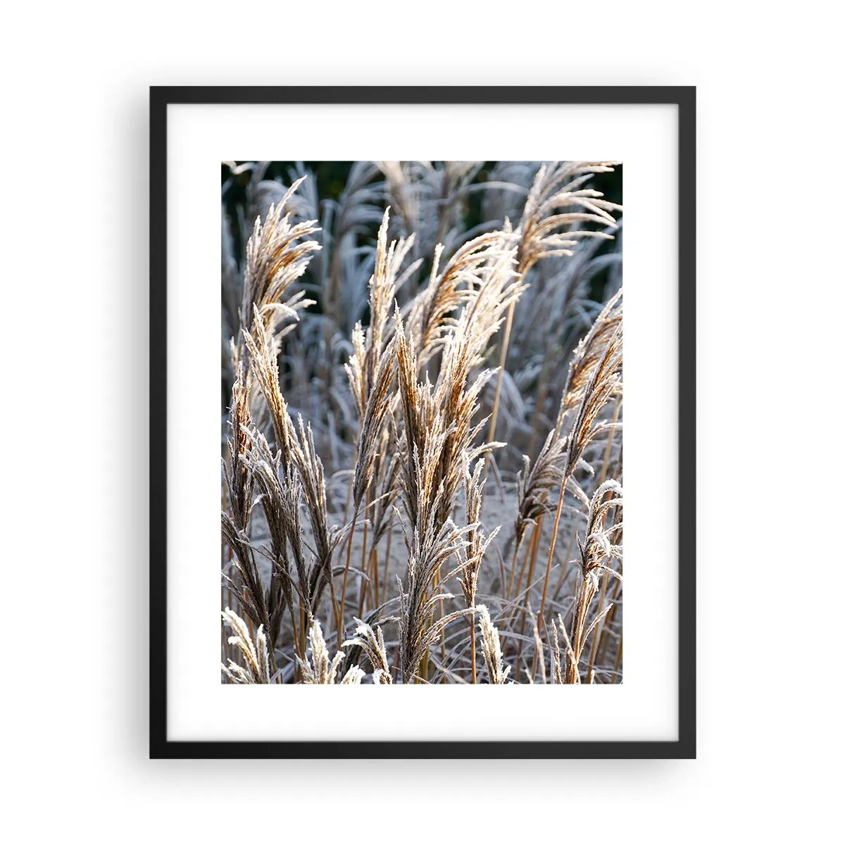 Plakat i sort ramme - Pyntet med frost - 40x50 cm