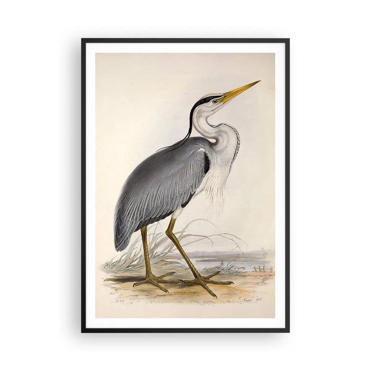 Plakat i sort ramme - Fiskehejre-charme - 70x100 cm