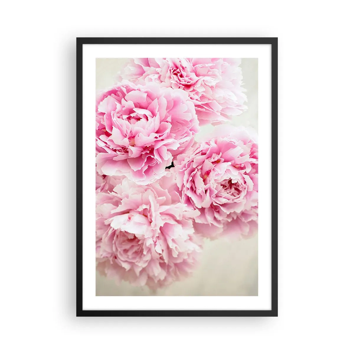 Plakat i sort ramme - En buket lyserøde pæoner på en lys baggrund - 50x70cm - I lyserød glamour - Moderne vægdekoration til stue og soveværelse ARTTOR