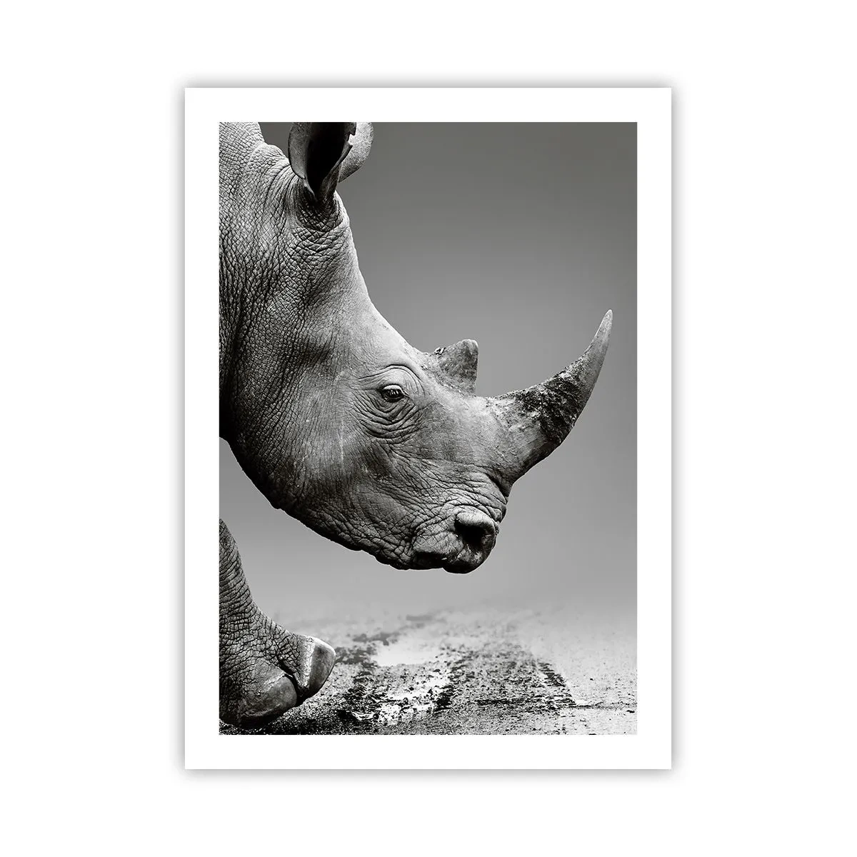 Plakat - En ustoppeli - 50x70 cm