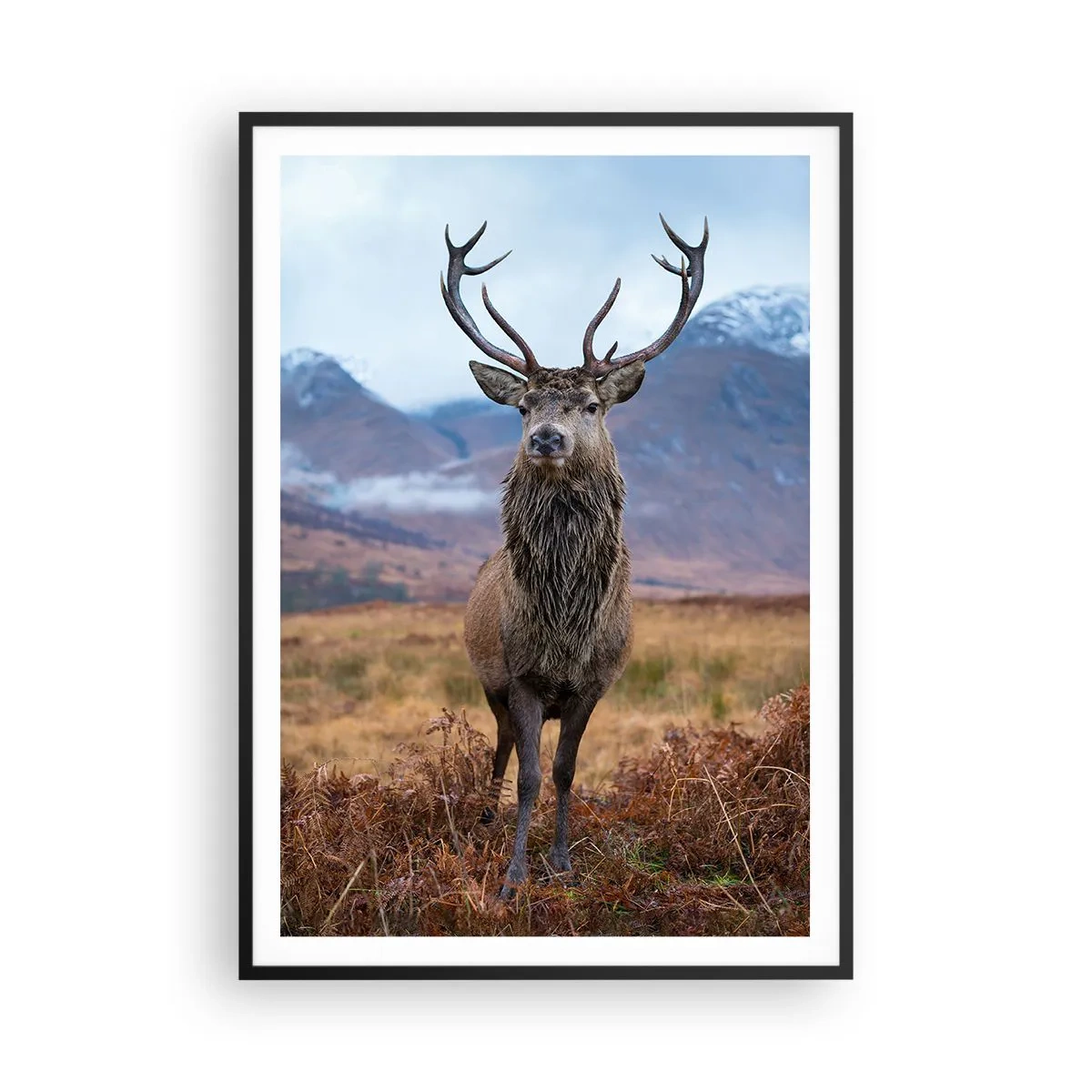 Plakat i sort ramme - På deres egen jord - 70x100 cm
