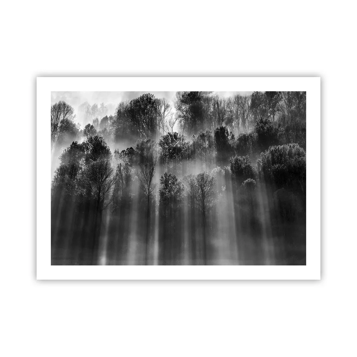 Plakat - I stråler af lys - 70x50 cm