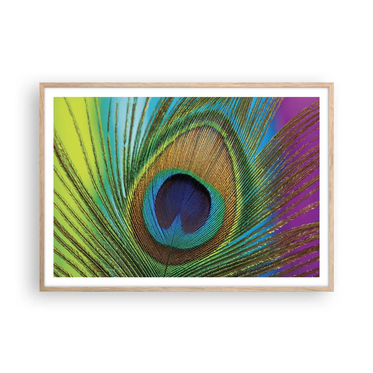 Plakat i ramme af lyst egetræ - Øje mod øje - 100x70 cm