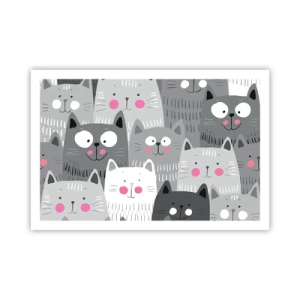 Plakat - Kattens verden - 91x61 cm