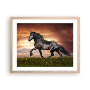 Plakat i ramme af lyst egetræ - Sort prins - 50x40 cm