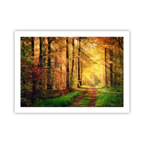 Plakat - Skovgylden stilhed - 70x50 cm
