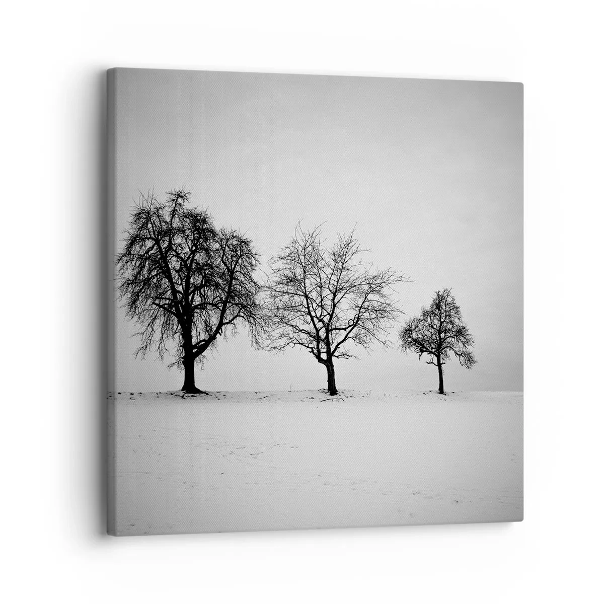 Lærredstryk - Billede på lærred - Hvad drømmer de om? - 30x30 cm