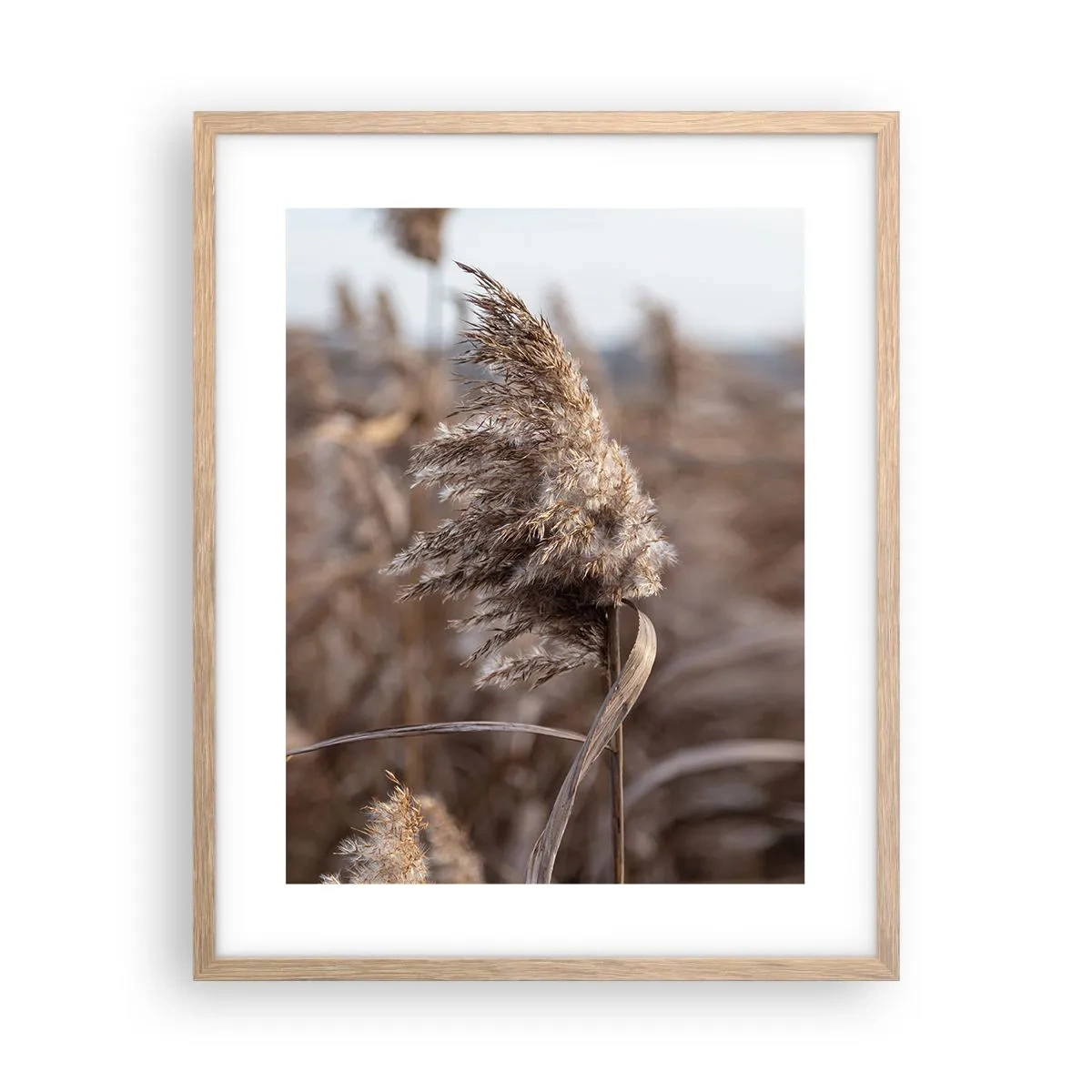 Plakat i ramme af lyst egetræ - Tid til at flyve væk med vinden - 40x50 cm