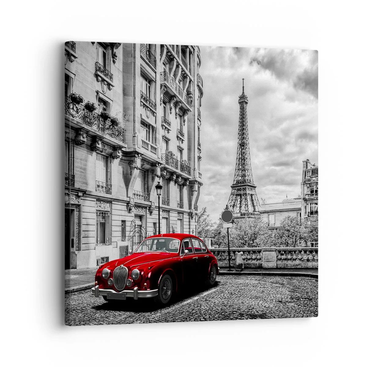 Lærredstryk - Billede på lærred - Rovdyr i byen - 30x30 cm