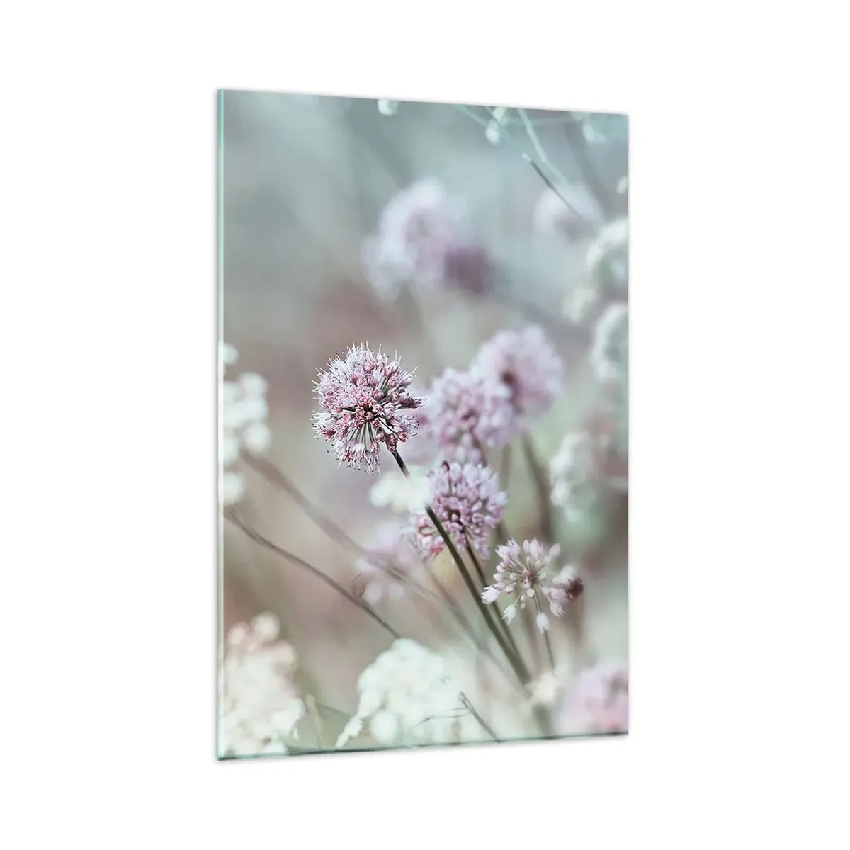 Billede på glas - Søde filigranurter - 80x120 cm