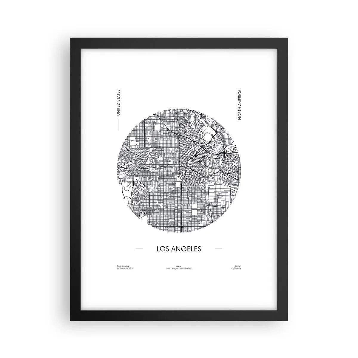 Plakat i sort ramme - Los Angeles' anatomi - 30x40 cm