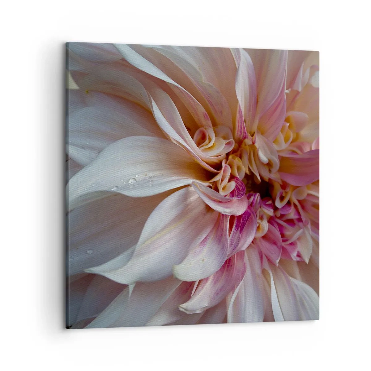 Lærredstryk - Billede på lærred - Blomstrende friskhed - 50x50 cm