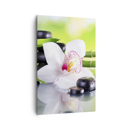 Lærredstryk - Billede på lærred - Kølig friskhed - 80x120 cm