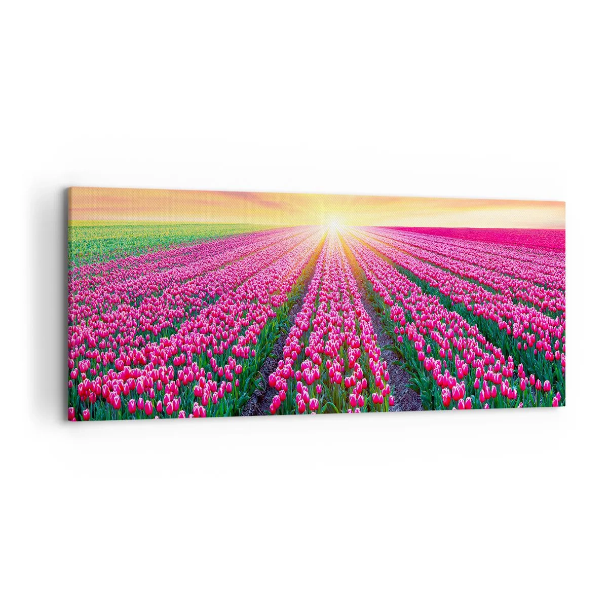 Lærredstryk - Billede på lærred - Skønhedsfarm - 120x50 cm