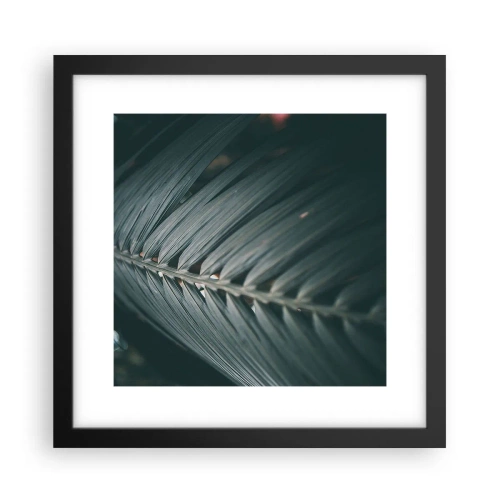Plakat i sort ramme - Naturens præcision - 30x30 cm