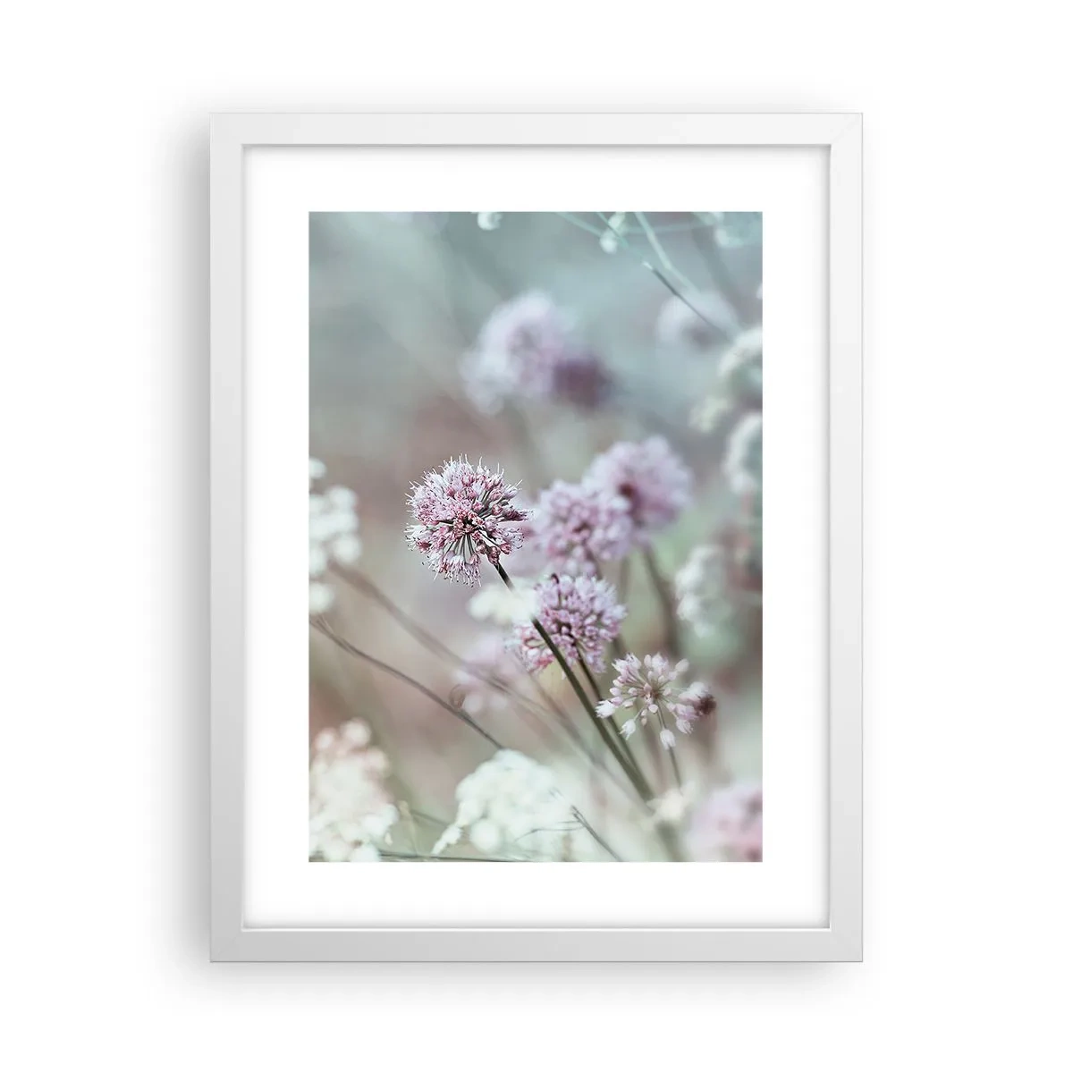 Plakat i hvid ramme - Søde filigranurter - 30x40 cm