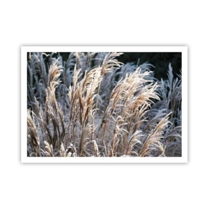 Plakat - Pyntet med frost - 100x70 cm